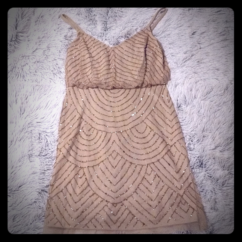 Adrianna Papell dress